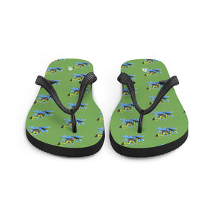 Anne Arundel Amphibians Flip-Flops